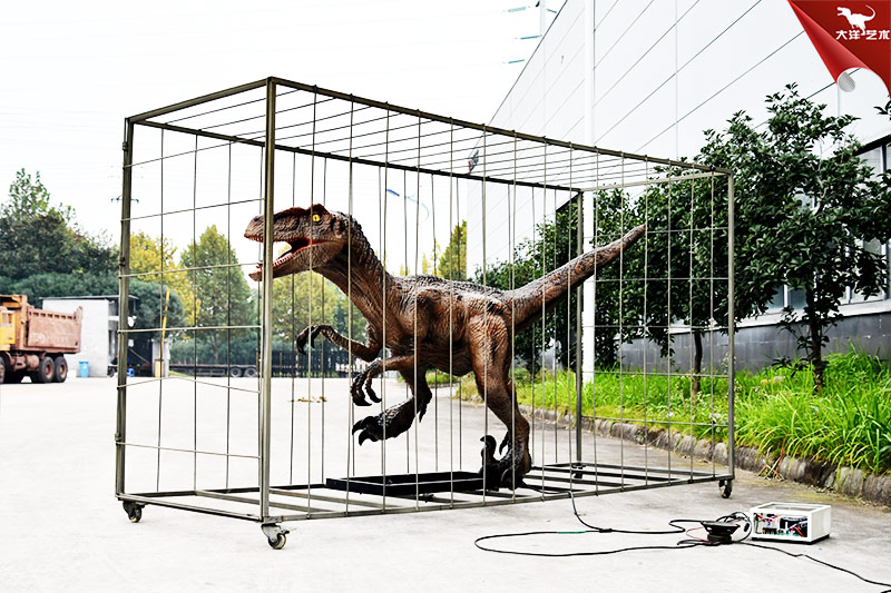 迅猛龍，裝在籠子里面的仿真恐龍
